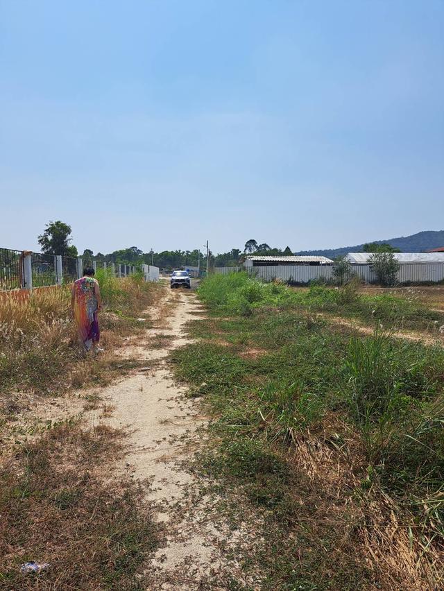 ขายด่วนที่ดินทำเลดี ศรีราชา จังหวัดชลบุรี 7