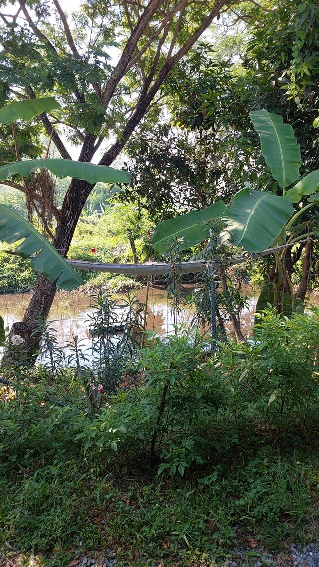บ้านสวนพร้อมที่ดิน181ตรว. 7