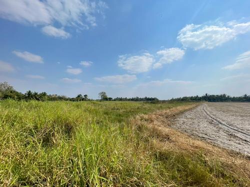 ที่ดิน 1-3-59.0 ไร่ ต.ขามทะเลสอ อ.ขามทะเลสอ จ.นครราชสีมา 11