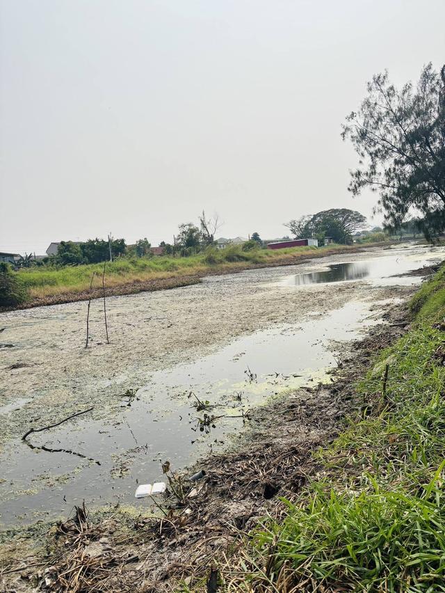 ขายที่ดินบ่อปลา มีนบุรี หทัยราษฎร์ ขนาด 8-3-36 ไร่ 5