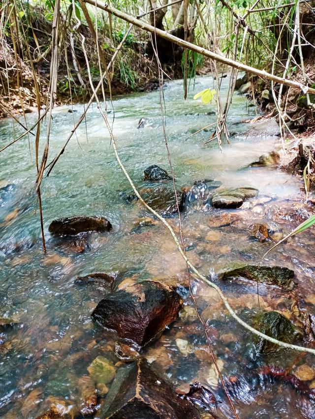 ที่ดิน อ.โป่งน้ำร้อน จ.จันทบุรี 7