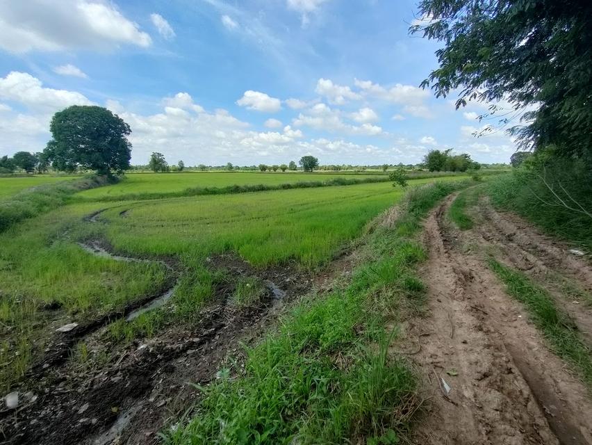 ที่ดินเจ้าของขายเอง จำนวน 15 ไร่ 2 งาน 1