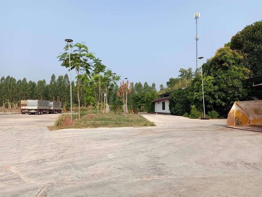 ที่ดินพร้อมสิ่งปลูกสร้าง (เดิมเป็นลานตากมันสำปะหลัง) 4
