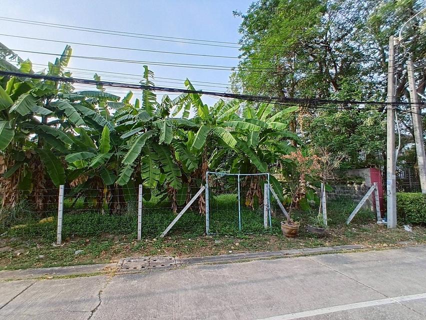 ขายที่ดินแปลงสวย รามอินทรา 61 4