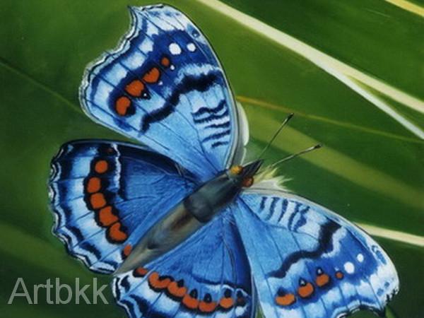 วาดภาพสัตว์เลี้ยงน่ารักเป็นของขวัญของตกแต่งบ้าน 8