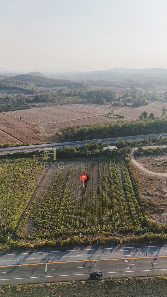 ขายที่ดินริมโขง ทำเลโลจิสติกส์ ติดถนนใหญ่ 1129ต.บ้านแซว อ.เชียงแสน จ.เชียงราย 57150 3