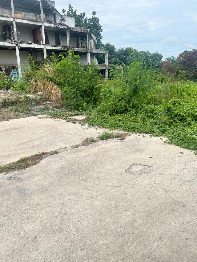ที่ดินบางใหญ่ ใกล้กับเซนทรัลเวสเกต 5