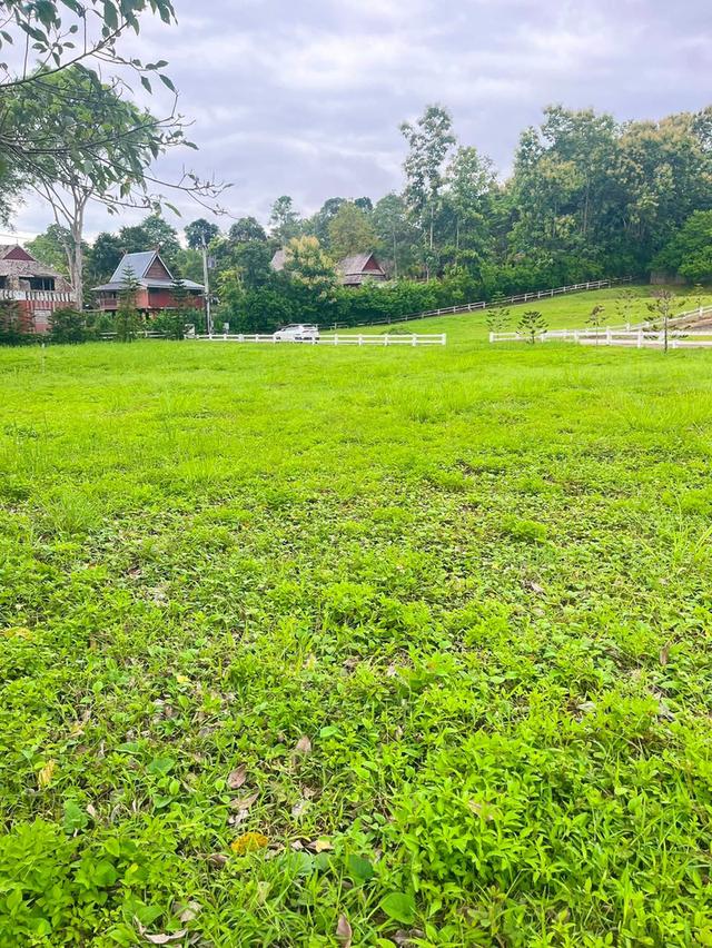 📣🏡 ที่ดินวิวดอย #บ้านปง อ.หางดง เชียงใหม่ 10