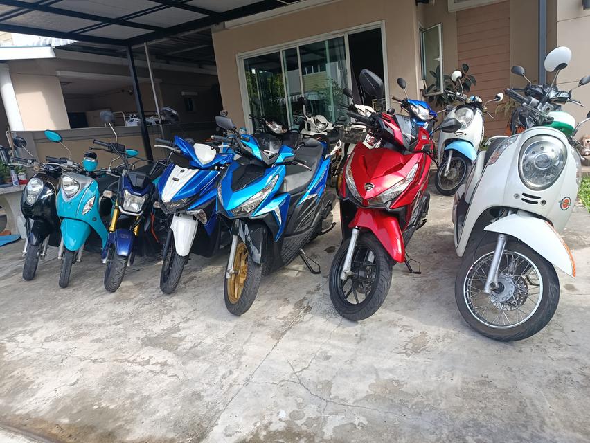 Scoopy-i 