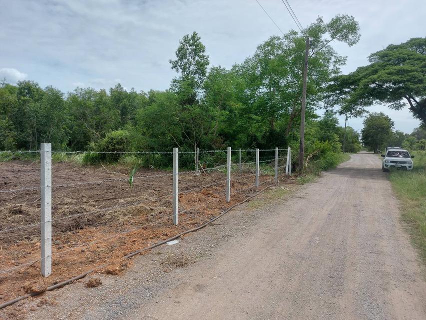 รูป ขายที่ดิน 2 ไร่ คลองหลวง คลองสอง 2