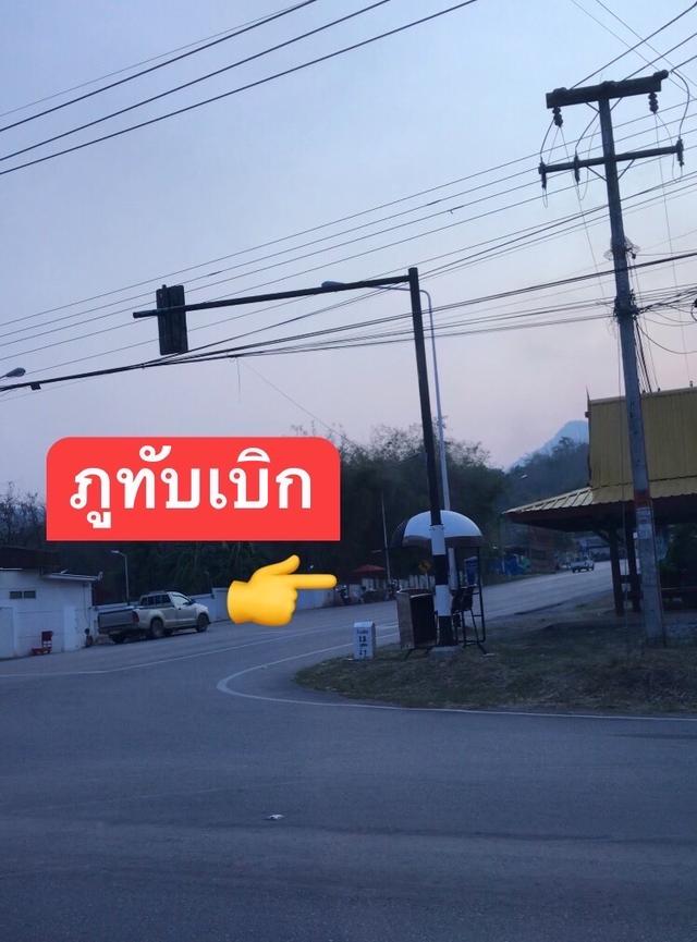 ที่ดินแถมต้นอินทผลัม ทางขึ้นภูทับเบิก 5