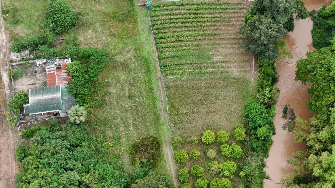 ที่ดินติดริมน้ำวิวเขาปากช่อง.( 3-3-12 ไร่.)( 5,500 บ./ตร.วา )  | ( น.ส.3ก ) หายาก ราคาพิเศษ!!  4