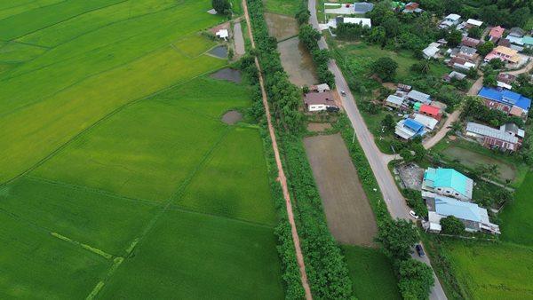 Land for sale Chaiyaphum ขายที่ดินชัยภูมิ มี 2 แปลง สามารถถมดิน ทำบ้าน ทำธุรกิจค้าขายได้ โทร 061-1195112 5