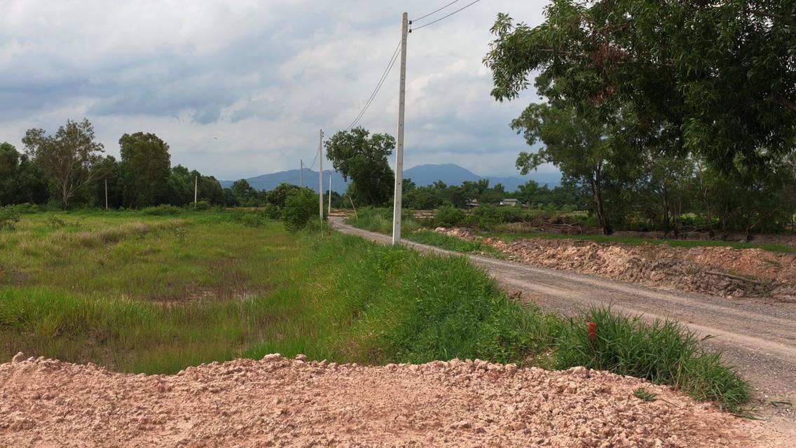 ที่ดินบ้านสวนวิวทุ่งนา ใกล้ถนนรังสิต–นครนายก เพียง 1 กม. เหลือ 2 แปลงสุดท้าย 9