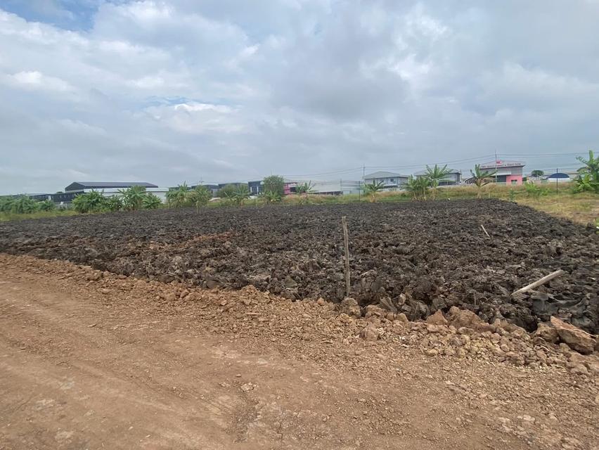 โครงการที่ดินปิ่นทองแลนด์ 1