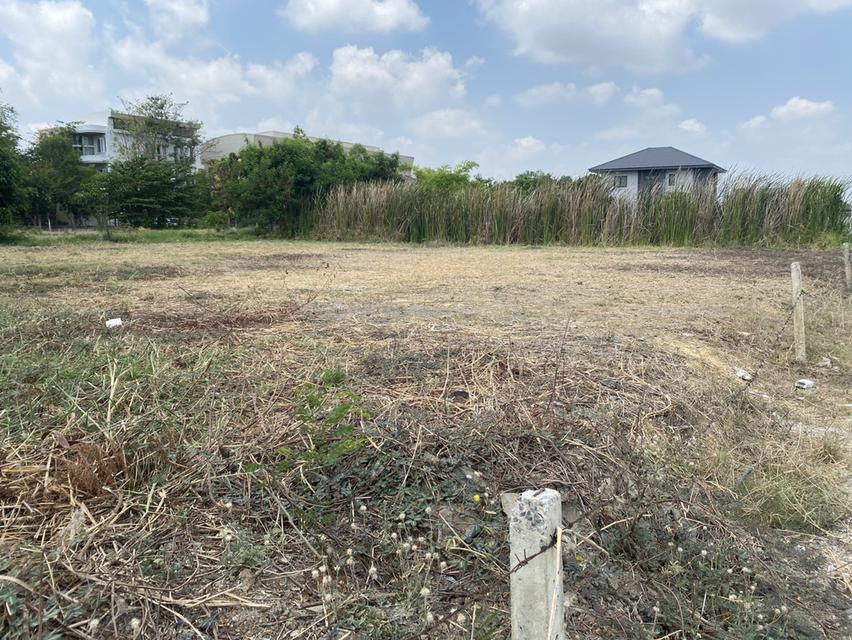 ขายที่ดินเปล่า ติดถนนใหญ่ คุ้มเกล้า ลาดกระบัง 9