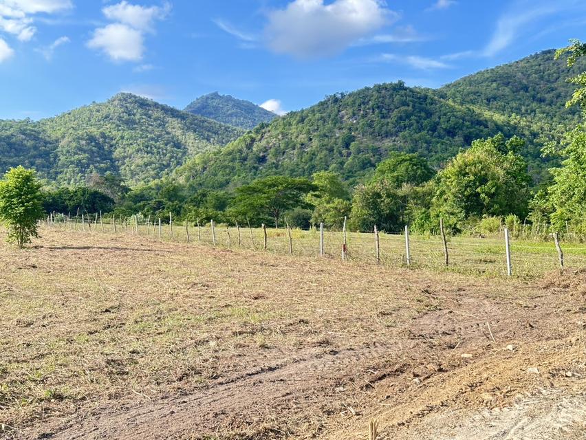 ที่ดิน พุหวาย ชะอำ จ เพชรบุรี ขนาด 6.375 ไร่  8