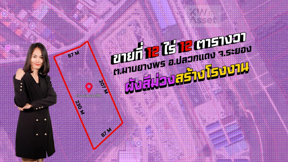 ขายที่ดิน 12 ไร่ ผังสีม่วงลาย ใกล้อีสเทิร์นซีบอร์ดระยอง 1