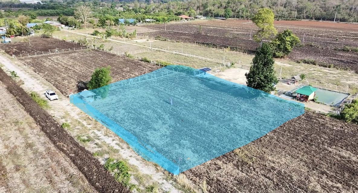 ขายที่ดินเลขโฉนด23202ที่ดิน1ไร่ หน้ากว้าง40เมตร ลึก 40 เมตร หมู่บ้านหนองหว้า ตำบลเขาดินพัฒนา อำเภอเฉลิมพระเกียรติสระบุรี 093-4415691 3