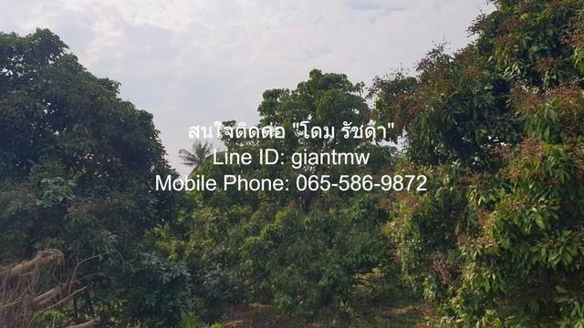 ขายที่ดินสวนลำไย ต.ขุนคง อ.หางดง จ.เชียงใหม่ (น.ส.4 จ) 2 ไร่, 2.5 ล้านบาท 5