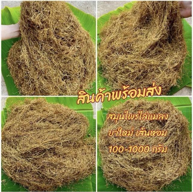 ยาเส้นหล่มสัก ไร้ก้าน ไร้ดอก ยาใหม่ปีนี้