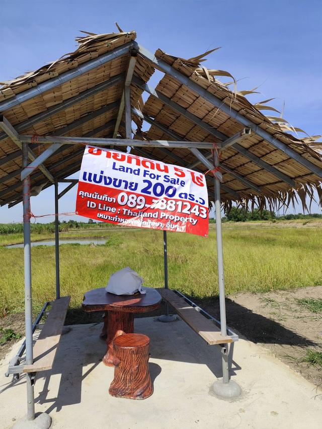 ขายที่ดินเปล่า ใกล้ มหาลัย เกษตรศาสตร์ ใกล้ หอพัก นกฮูก กำแพงแสน นครปฐม 8