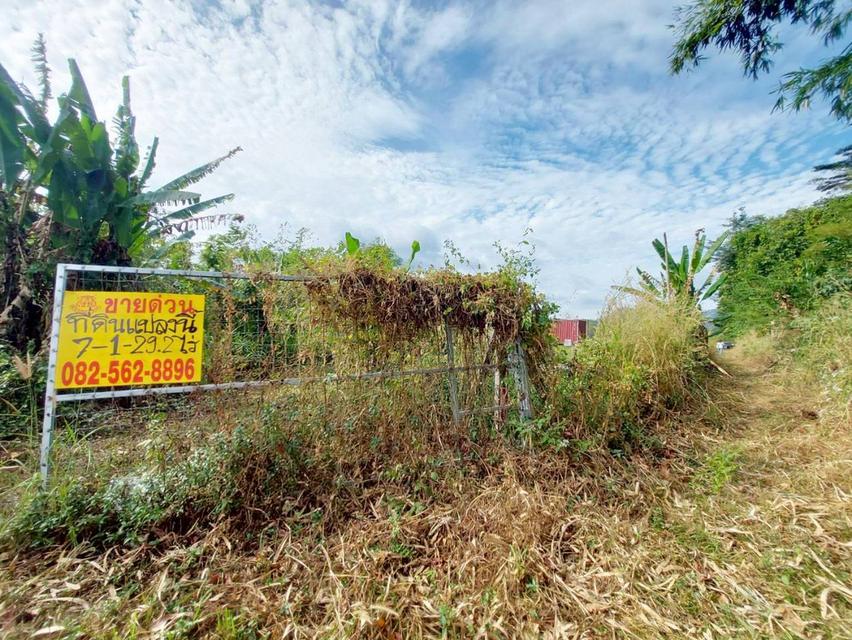 ขายที่ดินเปล่า ซอยบ้านวังทิพย์ ใกล้อ่างเก็บน้ําห้วยปรือ นครนายก 4