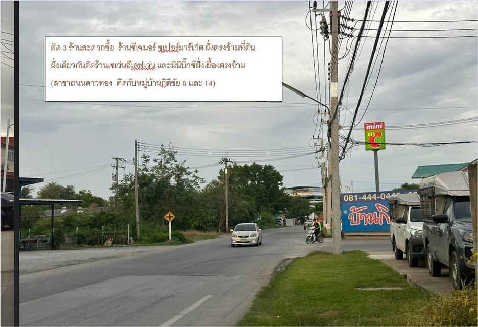 บ้านศาลายา ถนนดาวทอง ต.มหาสวัสดิ์ อ.พุทธมณฑล จ.นครปฐม 4