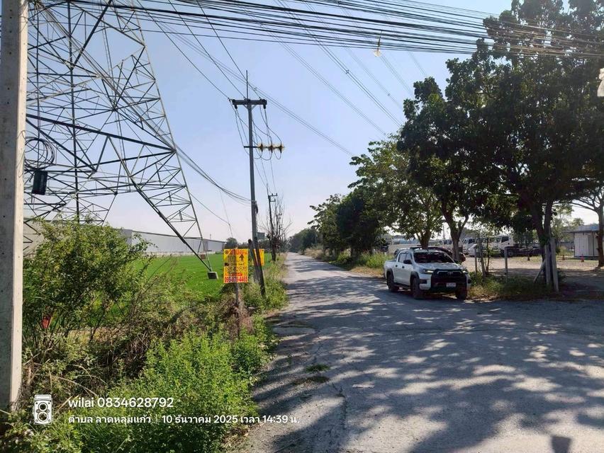 ขายที่ดินลาดหลุมแก้ว 100 ตรว ติดถนนคอนกรีตสาธารณะ ถมแล้ว ถ.ปทุมธานี-บางเลน(346) จ.ปทุมธานี 5
