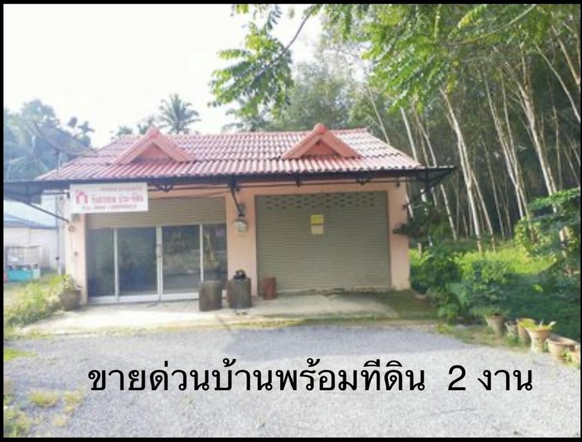 ขายบ้านพร้อมที่กิน 200 ตารางวา 1