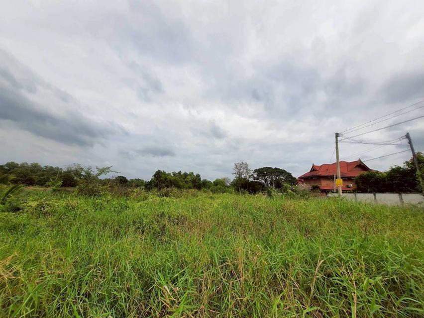 Vายถูกที่ดินคลองหก 520 ตารางวา ติดถนนสาธารณะซอย คลองหก ตต.31/1 อ.คลองหลวง จ.ปทุมธานี 8