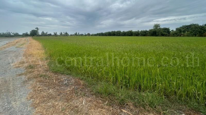 ที่ดิน 9-3-99.5 ไร่ ดอนโพธิ์ - สุพรรณบุรี มีผู้เช่า ทำเลดี 4