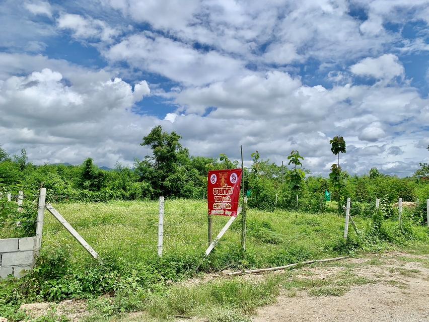 ขายที่ดินวิวภูเขา แม่วาง เชียงใหม่ 2