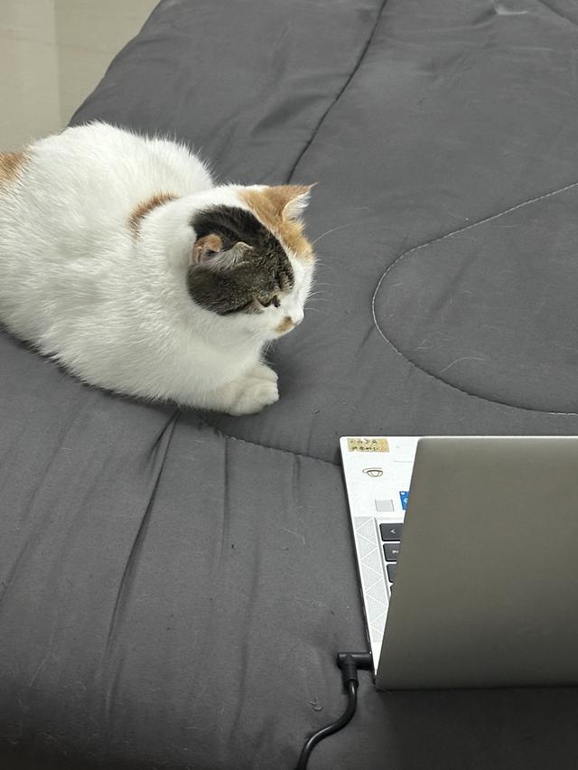 น้องเดซี่ 3