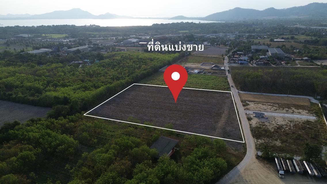 ที่ดินแบ่งขาย บางพระ – ห้วยกุ่ม อ.ศรีราชา จ.ชลบุรี 3
