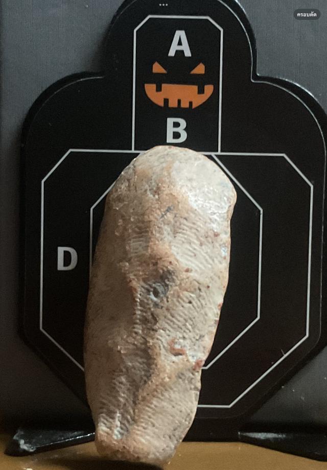 พระกำแพงลีลาเม็ดขนุน พิมพ์ไหญ่ กุวัดพิกุล 11