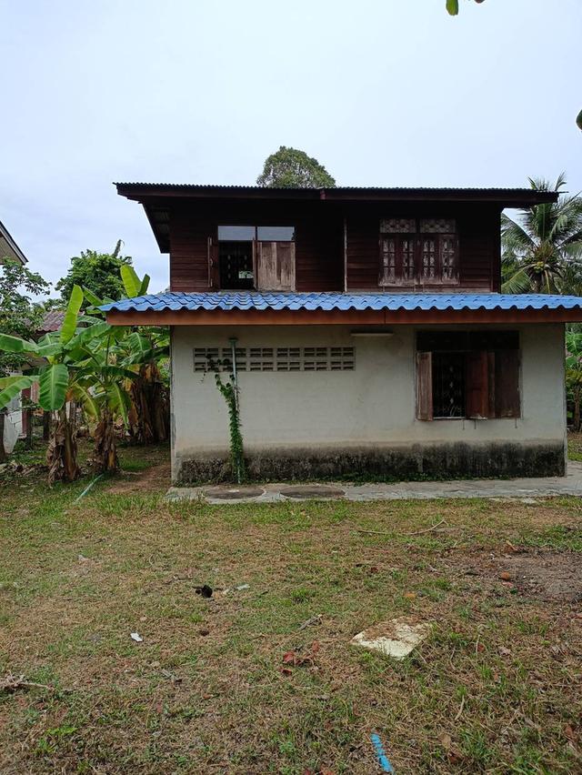 ที่ดินใกล้วัดธรรมโฆษณ์ 1/2 ไร่กว่า อ.สิงหนคร จ.สงขลา มีบ้านเก่า 3