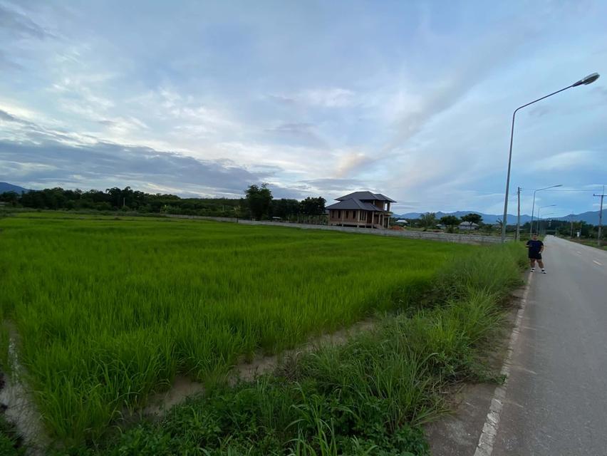 ที่ดิน1ไร่1งาน50ตรว. 5