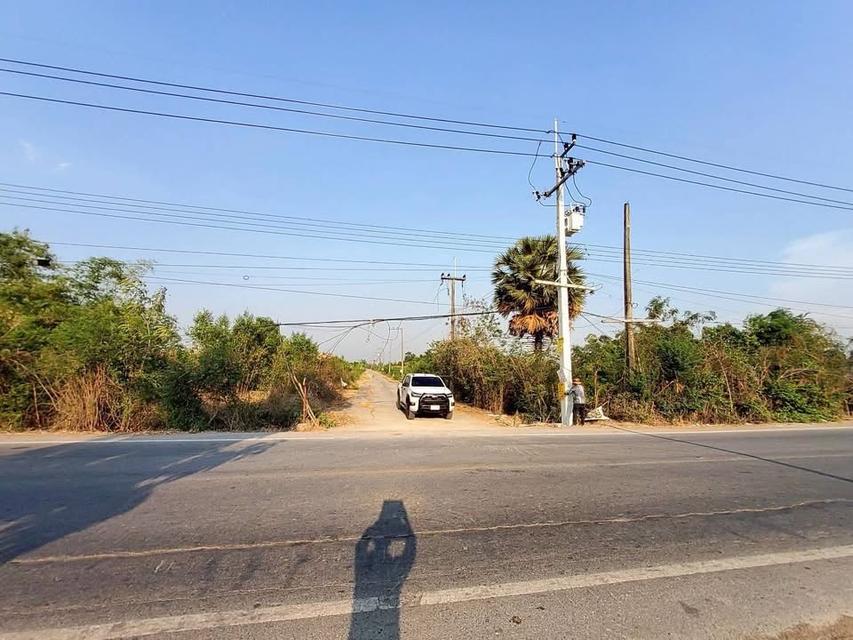 ขายด่วนที่ดิน 100 ตารางวา - ดี ติดถนนคอนกรีต 2 คลอง 12 หนองเสือ ปทุมธานี 7