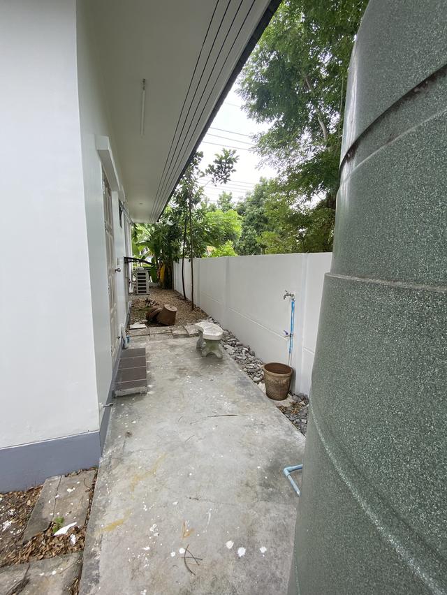 บ้านเดี่ยวให้เช่า 14