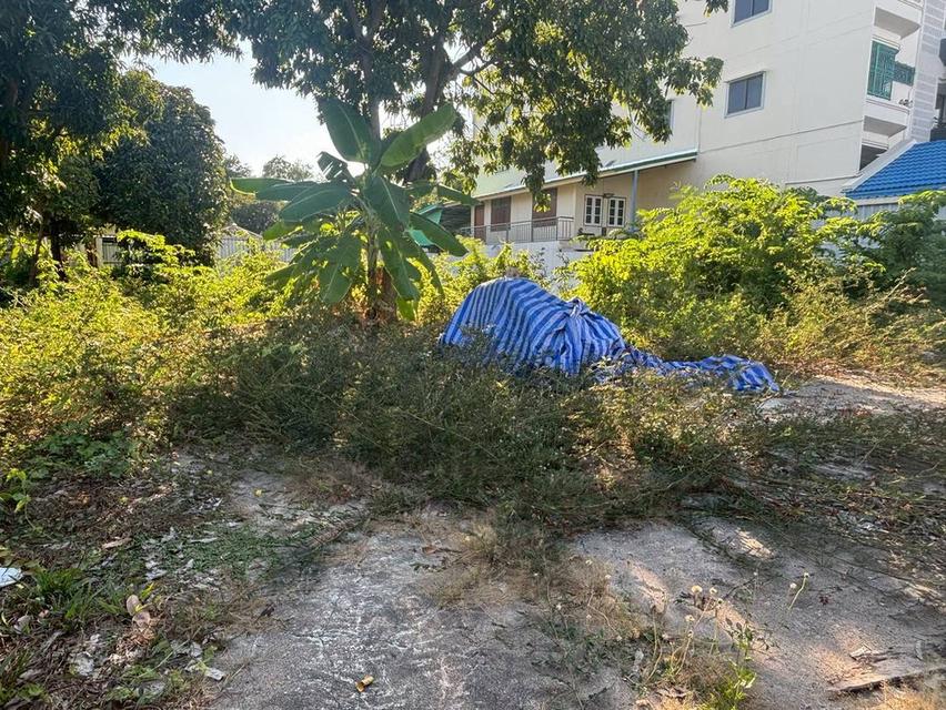 ที่ดิน อสังหาริมทรัพย์ 11