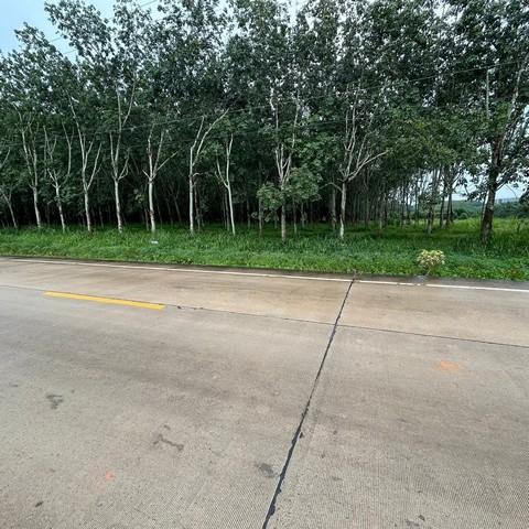 ให้เช่า ที่ดินศักยภาพสูง 140 ไร่ติดนิคมอุตสาหกรรมโรจนะ หนองใหญ่ จ.ชลบุรี พื้นที่สีม่วงลาย/พื้นที่สีเหลือง 7