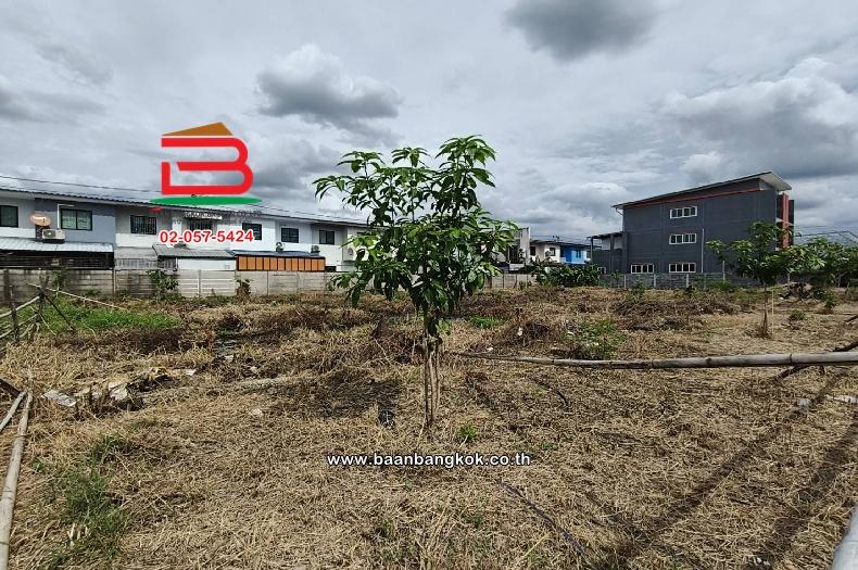 ที่ดินเปล่า ซอยลำลูกกา 45 เนื้อที่ 365 ตร.ว (ใกล้บิ๊กซีลำลูกกาคลอง 4) ตำบลลาดสวาย อำเภอลำลูกกา ปทุมธานี 5