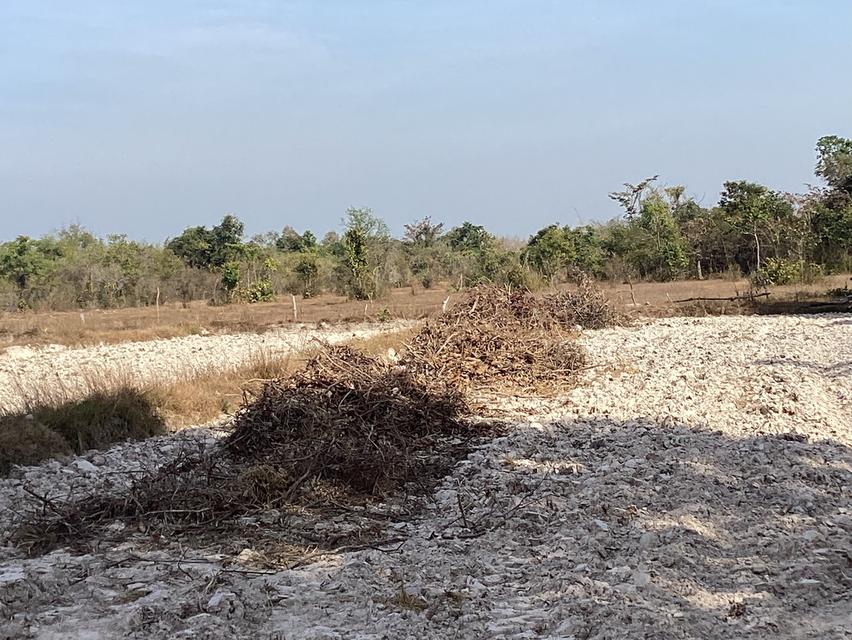 ที่ดิน120ไร่สำหรับโครงการที่พักวัยเกษียณติดถนนหลักใกล้ทุกความสะดวกสบาย 6