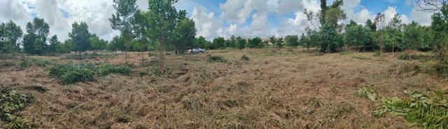 ✨ ที่ดินทำเลทอง ติดถนนใหญ่ ใจกลางถลาง ภูเก็ต📍 ติด HomePro และ Dynasty Tiletop✔ ทำเลเชิงพาณิชย์ ศักยภาพสูงมาก✔ หน้ากว้างติดถนน รถใหญ่เข้าออกสะดวก✔ 8