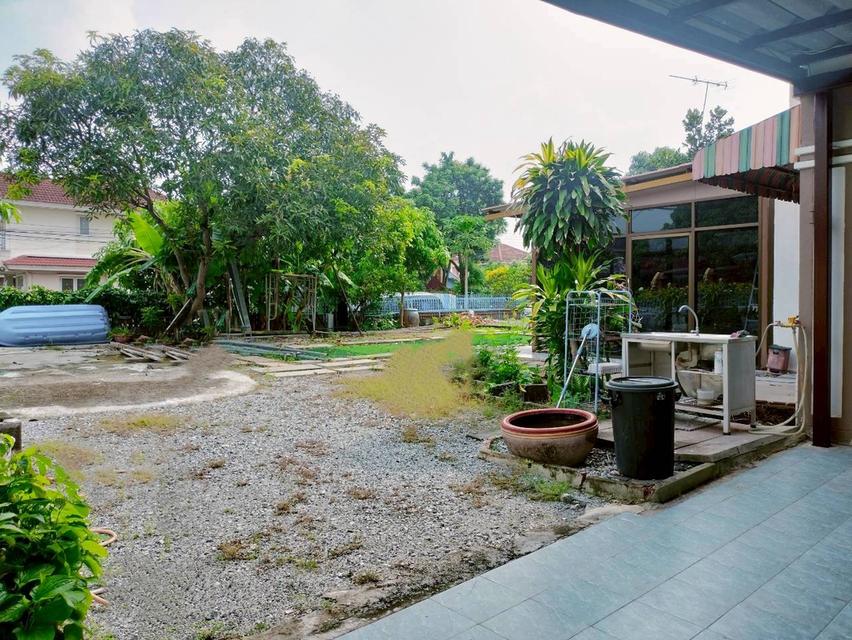 🏡ขาย บ้านเดี่ยวหลังมุม ติดถนน ทิพมาศ-เสรีบางนา บางบ่อ  114 ตร.ว 8