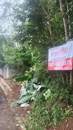 ที่ดินเปล่า 5 ห้อง ห้องละ 20 ตร.วา รวม 100 ตร.วา อยู่ในเมือง ต.ทับเที่ยง และที่ดินเปล่า10 ห้อง ห้องละ25ตร.วารวม 250 ตร.วา ต.บ้านโพธิ์ อ.เมืองตรัง  3