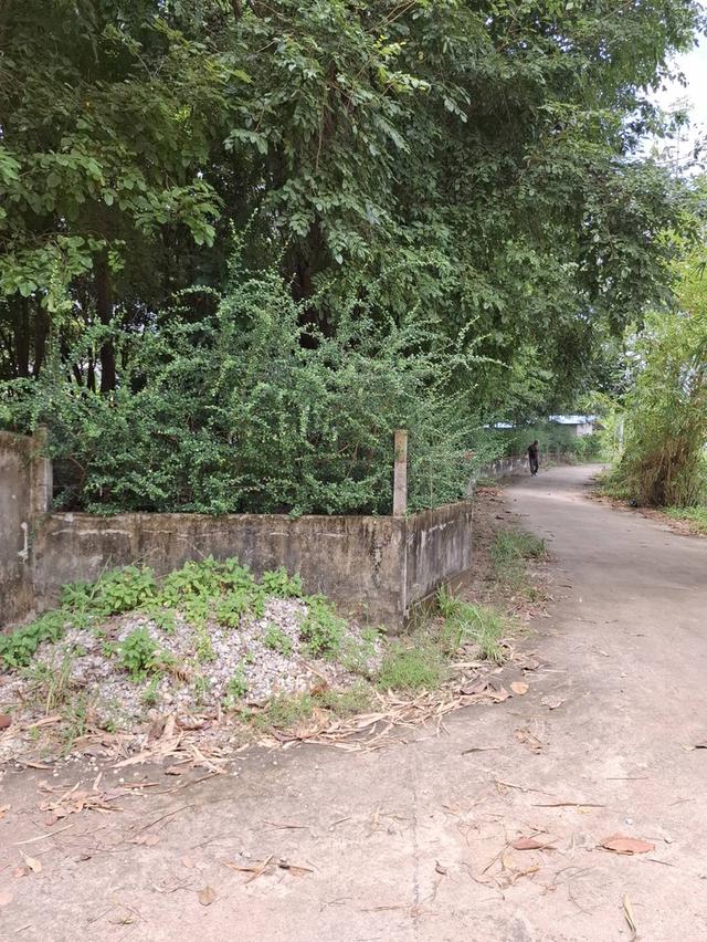 ขายที่ดินพร้อมบ้านพัก 7