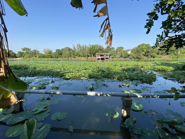 ขายที่ดิน399.7ตร.ว.ย่านนครปฐมศาลายาพุทธมณฑลติดถนน4เลนด้านหลังติดคลองนราภิรมย์ 5