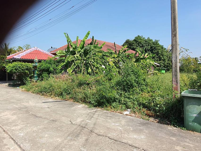 ขายที่ดินคลองโยง 210 คารางวา พุทธมณฑล นครปฐม แบ่งขายได้ 3